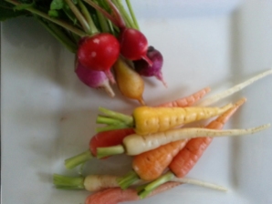 Radish and carrots - these did not make it to the foyer